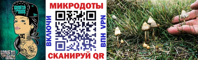 Галлюциногенные грибы Psilocybe Вязники