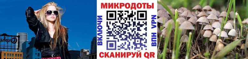 Псилоцибиновые грибы MAGIC MUSHROOMS  Купить где  Вязники 